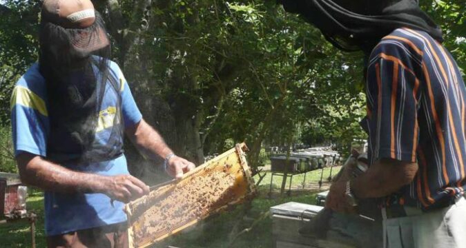 Miel matancera lidera renglones exportables en la provincia