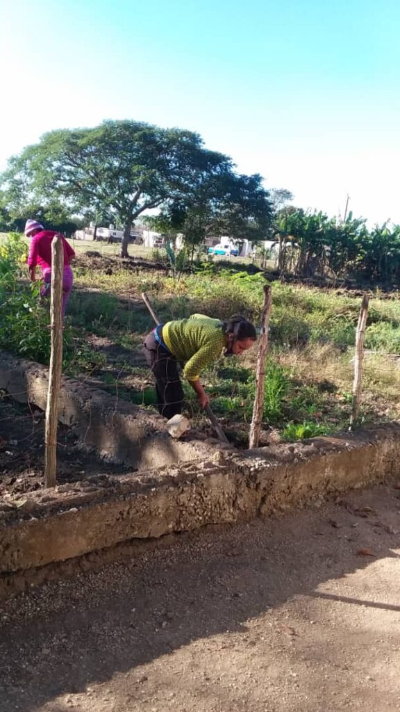 Realizan trabajo voluntario trabajadores de la escuela primaria Luz y Caballero de Banagüises