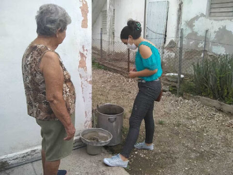 Llaman en Colón a trabajar unidos contra el mosquito