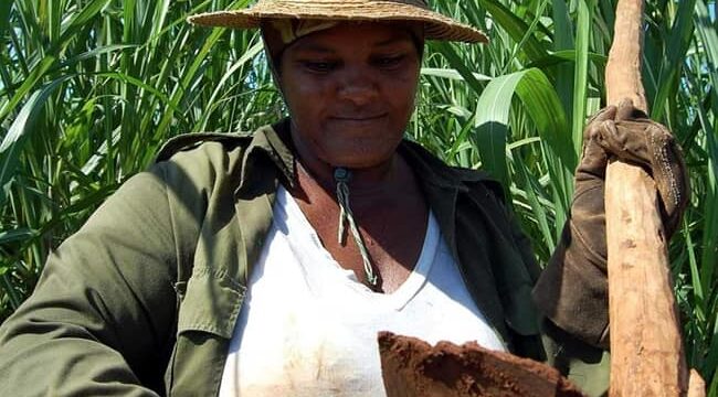 La mujer cubana es un referente para el mundo, no solo por su belleza. Lo es por el ímpetu que la caracteriza para desempeñar cualquier oficio por increíble que parezca.