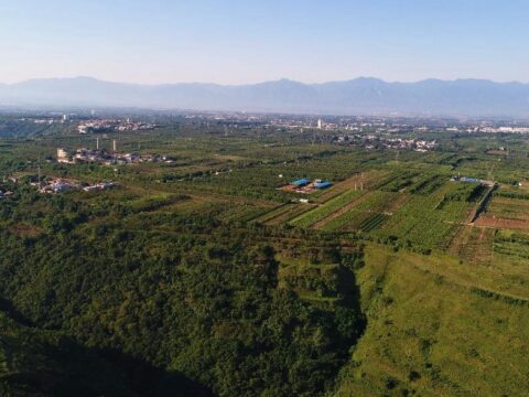 Halla China tumba