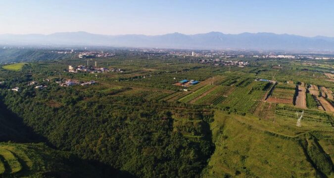 Halla China tumba