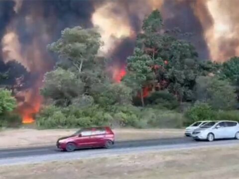 Incendios forestales