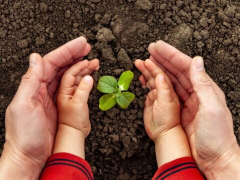 Proteger el medio ambiente, una visión de futuro