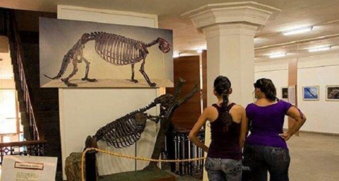 Museo