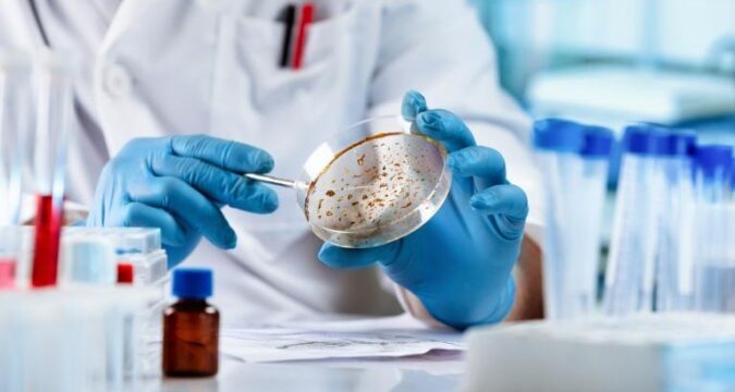 Hepatitis aguda