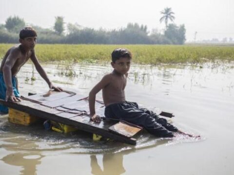 Unicef