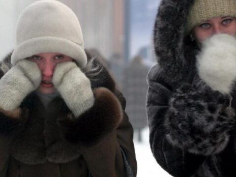 Ola polar