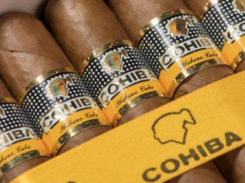 cohiba