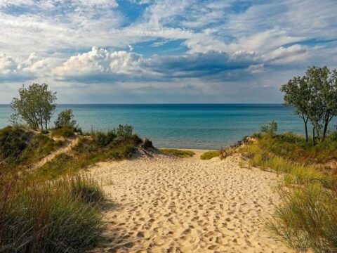 dunas_de_playa