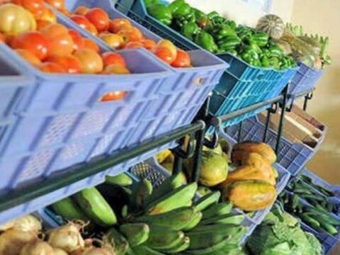 cuba-productos-agro