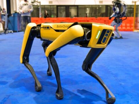 perro robotico