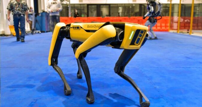 perro robotico