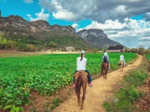 vinales