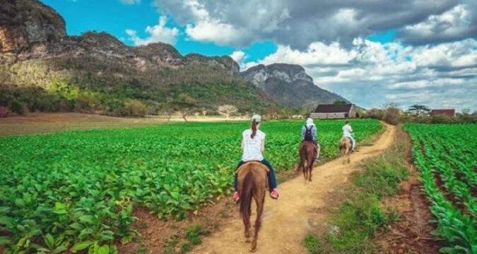 vinales