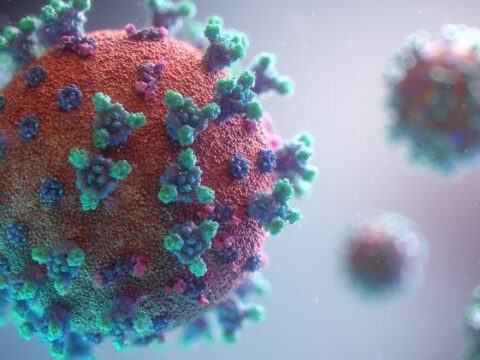 virus-vih