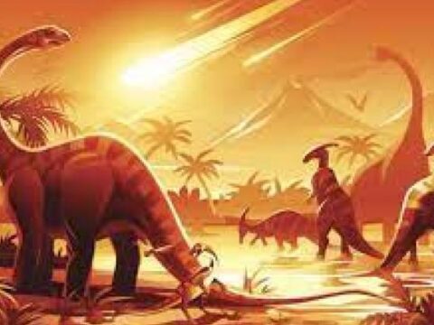 dinosaurios
