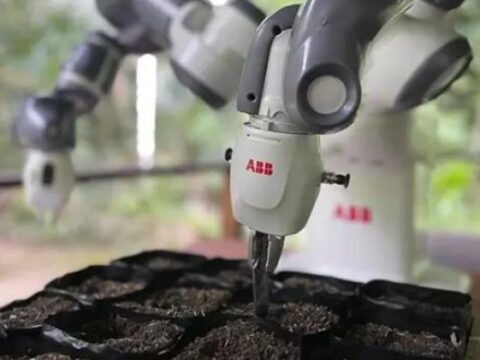 robot siembra semillas