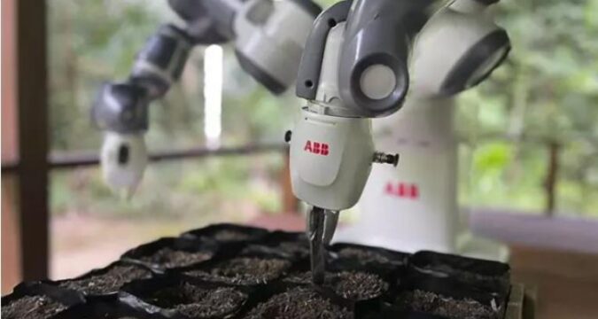 robot siembra semillas