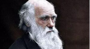 8 citas del pensamiento de Charles Darwin