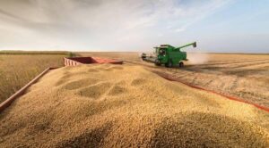 Tras las lluvias avanza cosecha de soya en Uruguay