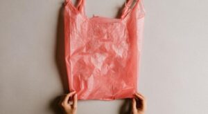 En este artículo:  bolsa de plástico jaba de nylon contaminacion reciclaje medioambiente Jabita: Útil y caótica
