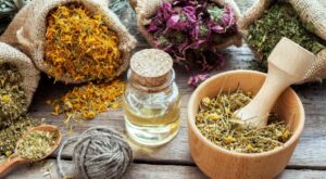 Cuba participa en taller de OMS sobre medicamentos herbarios