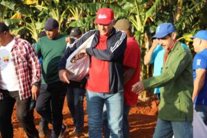 Participó Díaz-Canel en jornada de trabajo voluntario en Cuba (+Fotos)