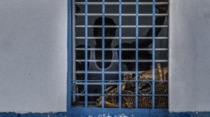 Más de 50 reclusos murieron en tres meses en Haití