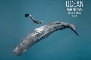 Inicia en Italia festival de filmes sobre el mundo marino