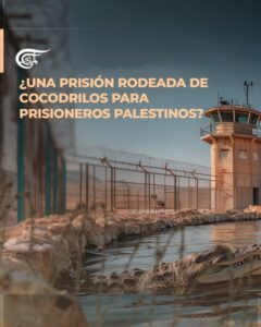 Israel estudia crear una prisión rodeada de cocodrilos