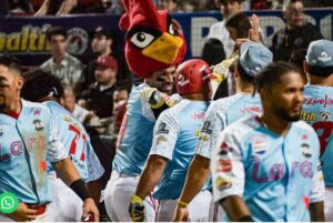 Líder Cardenales atento a juegos de hoy en béisbol venezolano