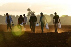 Trabajadores cubanos convocan a Jornada Nacional de Trabajo Voluntario